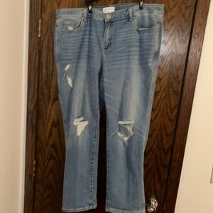 Lane Bryant Distressed Straight Leg Jeans Size 22